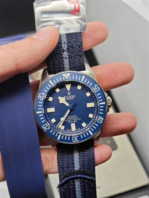 tudor pelagoa f factory